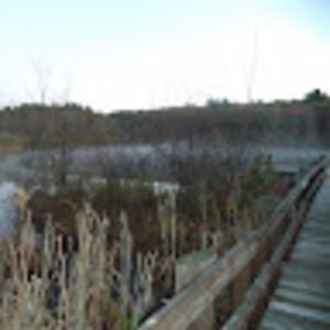 Meet your Posher, Barnett